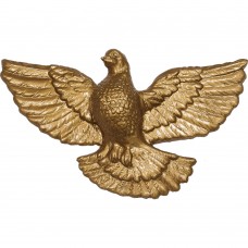 Голубь g19_g