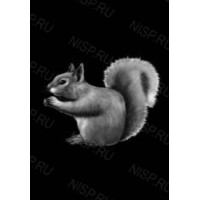 Гравировка животные gravan1