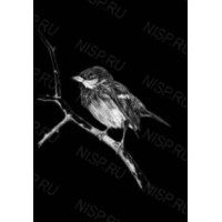 Гравировка животные gravan10