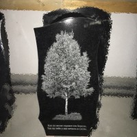 Изображение izobr3