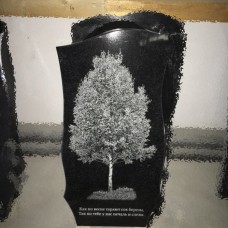 Изображение izobr3